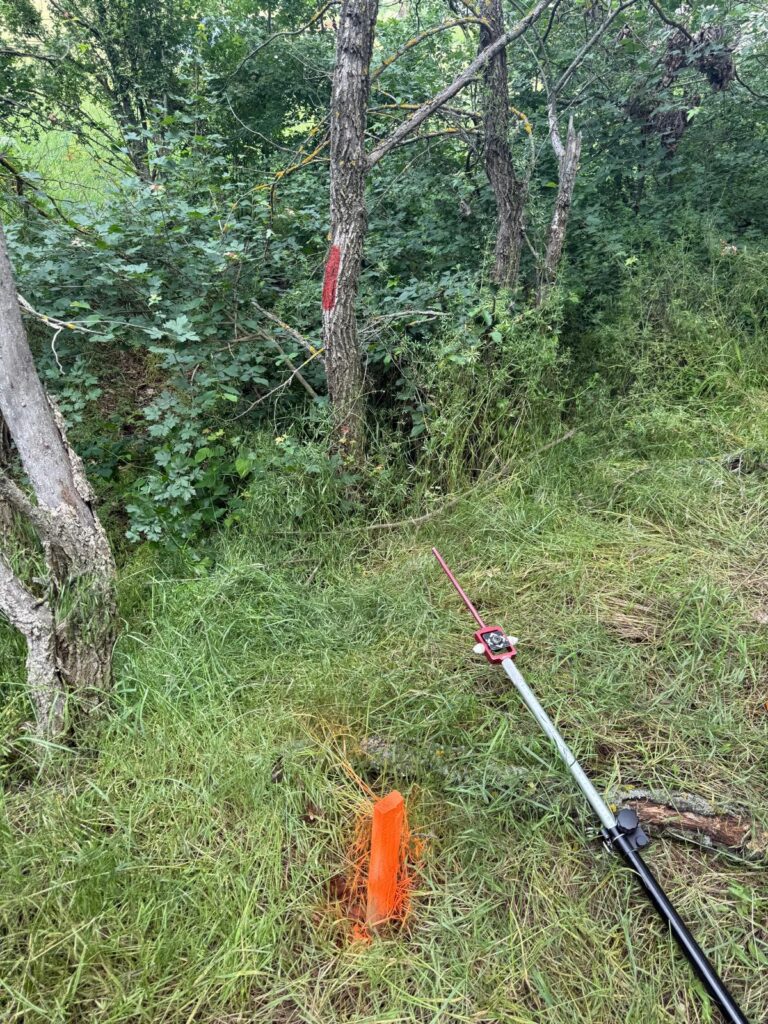 WhatsApp Image 2025-07-04 at 08.13.54