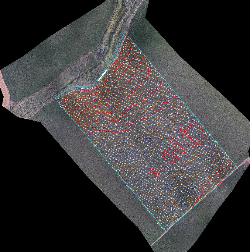 WhatsApp Image 2025-07-04 at 08.20.44 (7)